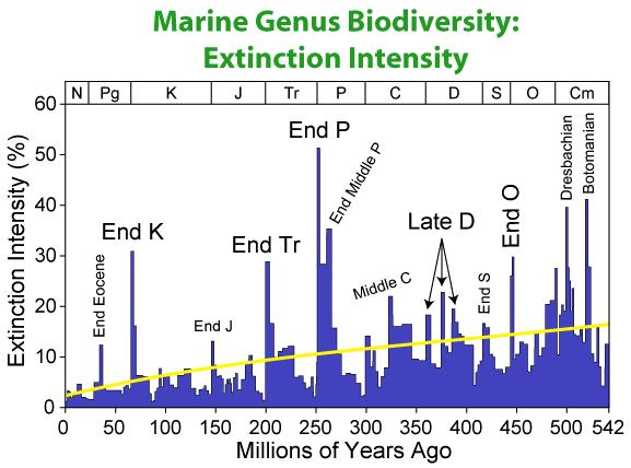 Marine Extinction Epochal History