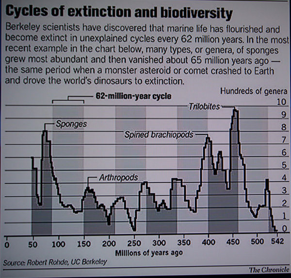 Cycles of Extinction