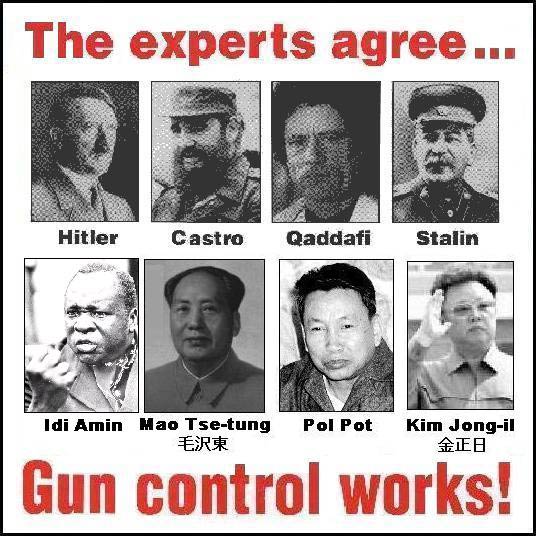 Gun Control Works So Say Experts