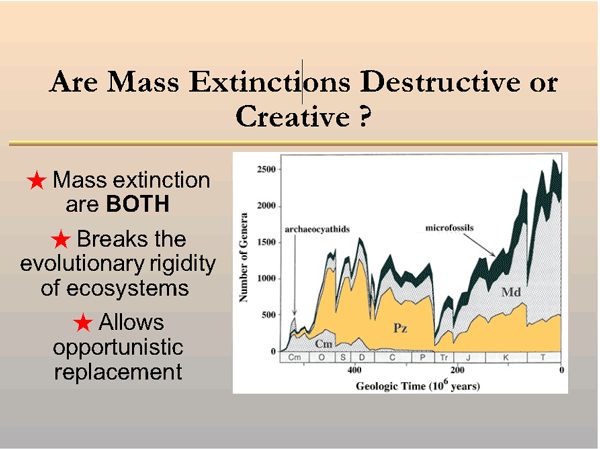 Extinction Destructive  or Creative