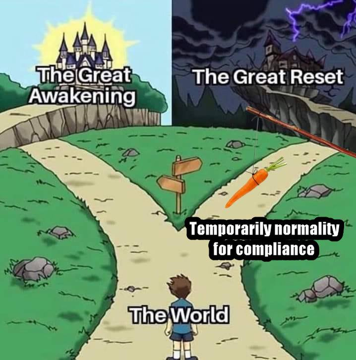 Greeat Awakening vs Great Reset