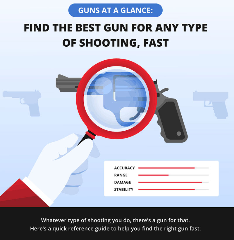 Guns  At A Glance