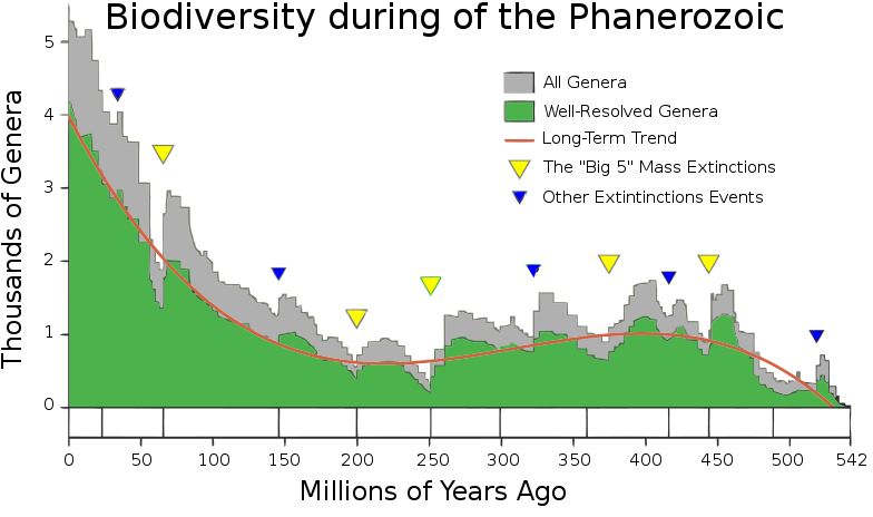 Biodiversity decline over ages
