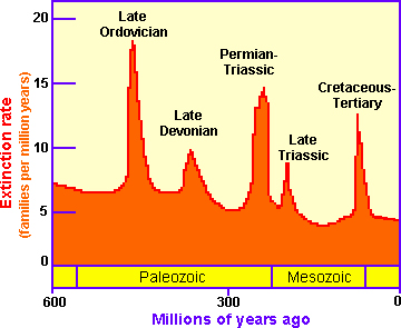 Natural Extinction Rate of Species epoch history 